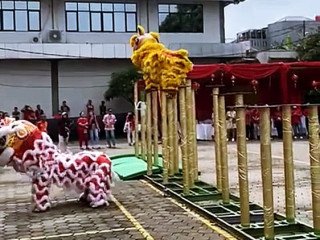 sewa-barongsai-kota-depok