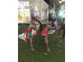 grup-reog-ponorogo-suryokencono-small-1