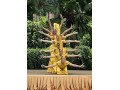 tari-seribu-tangan-parmonas-studio-small-1