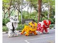 sewa-barongsai-ci-sarah-small-0