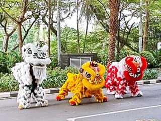 sewa-barongsai-ci-sarah