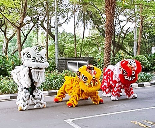 sewa-barongsai-ci-sarah-big-0