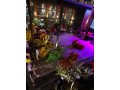 sanggar-barongsai-koh-apoy-small-0